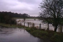 The Ver In Flood - Luton Lane February 2001 - Alan Bull