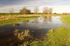 The Water Meadows Of Redbournbury - Flooded In January 2007 - John Woodworth