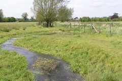 Redbournbury Water Meadows From The Irish Weir - Ernie Leahy