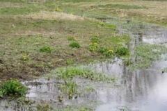 Redbourn - Chequer Lane Water Meadow - John Fisher