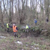 Action Group Work Party – Dec 15 2018