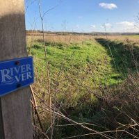 Defra consultation: 12 March deadline