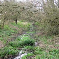 Affinity Consultation: 26 April deadline