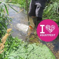 How Healthy is the River Ver?