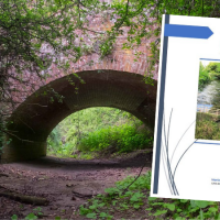 Chalk Streams in Crisis