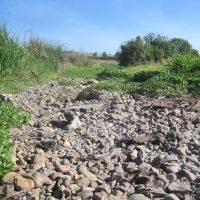 10 ways you can help the River Ver