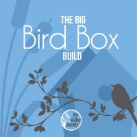 The Big Bird Box Build