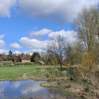 Sat 13 April: Ver/Colne Confluence Walk: